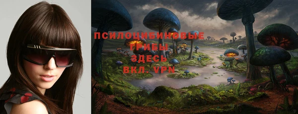мет Балахна