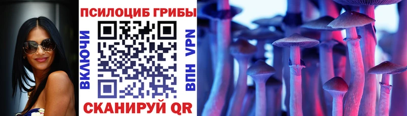 blacksprut зеркало  Краснотурьинск  Псилоцибиновые грибы MAGIC MUSHROOMS 