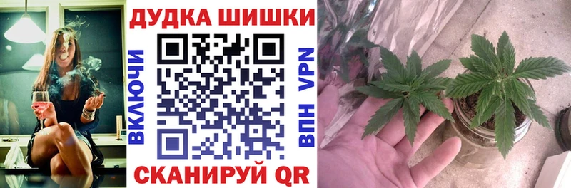 Бошки Шишки Bruce Banner  где продают наркотики  Краснотурьинск 